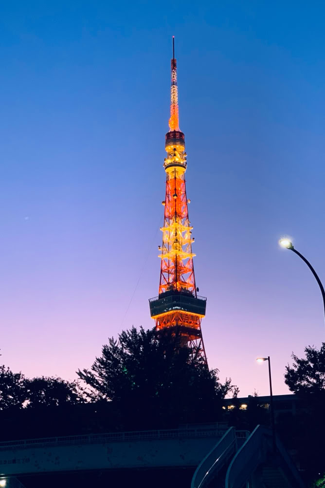 Photo  賀川義規　Yoshinori Kagawa 　大腸がん　手術　消化器外科　皇居　大阪　亀　紅葉　青写真　エクスプレス外来　技術認定　プロクター　ダビンチ　ダビィンチ　daVinci