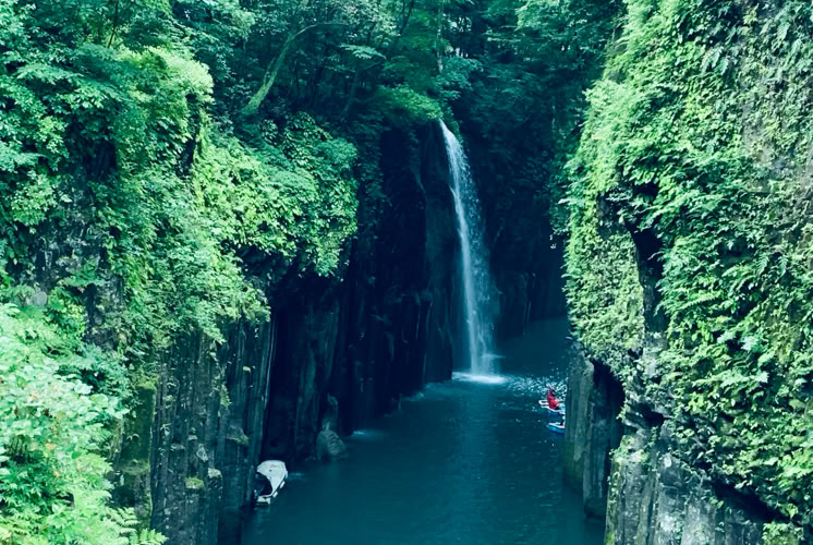 Photo  賀川義規　Yoshinori Kagawa 　大腸がん　手術　消化器外科　皇居　大阪　亀　紅葉　青写真　エクスプレス外来　技術認定　プロクター　ダビンチ　ダビィンチ　daVinci
