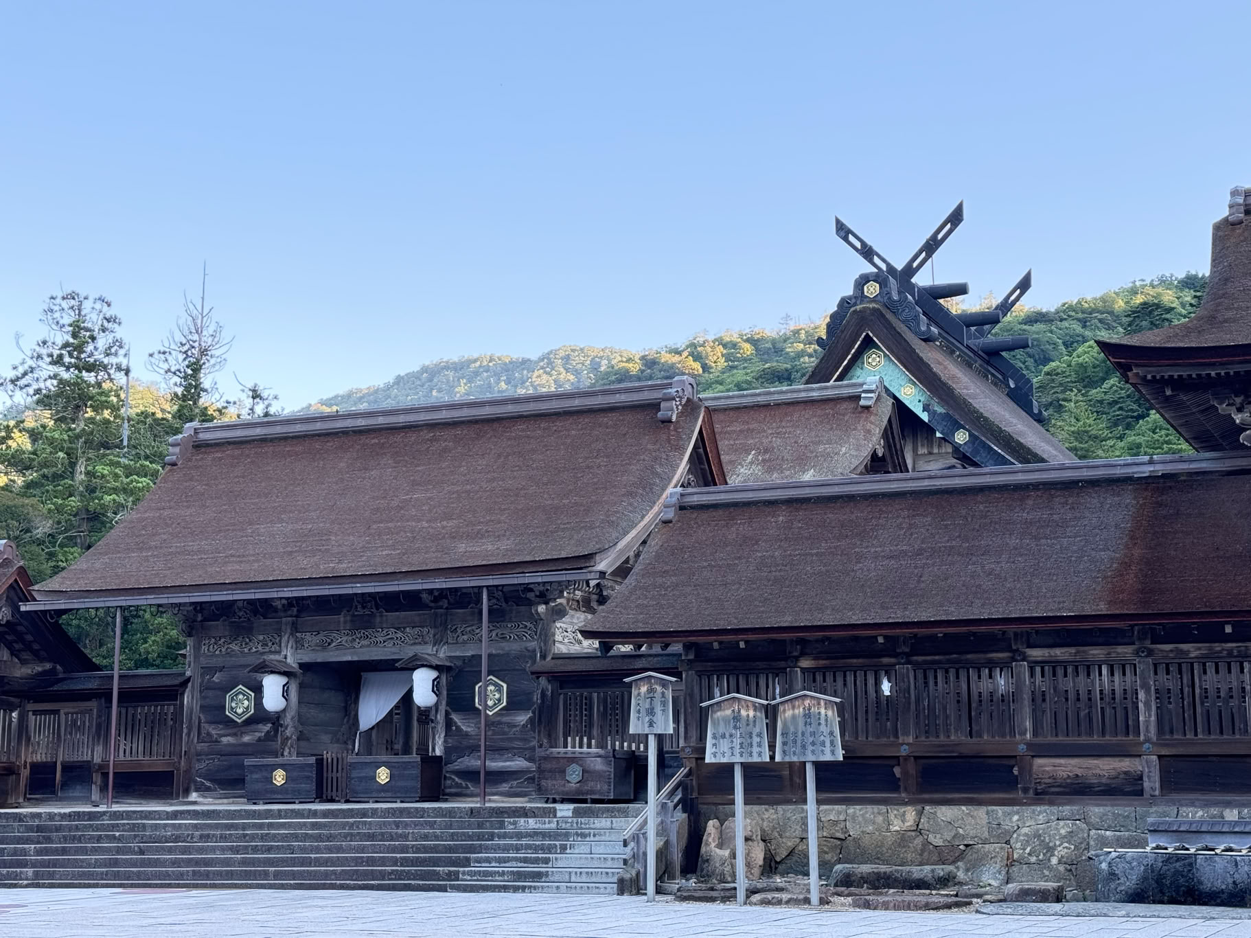 島根県の病院に手術応援に行ってきました。1泊2日の強行突破のため、早朝4時から徒歩で2時間かけて出雲大社まで。願いがかないますように！