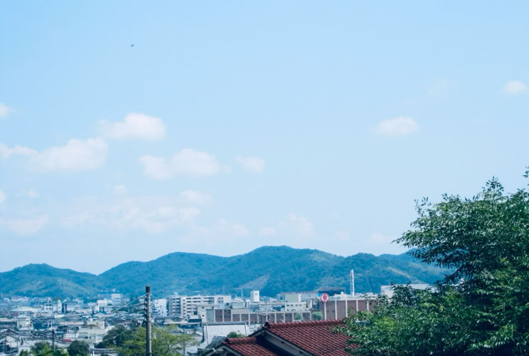 Photo  賀川義規　Yoshinori Kagawa 　大腸がん　手術　消化器外科　皇居　大阪　亀　紅葉　青写真　エクスプレス外来　技術認定　プロクター　ダビンチ　ダビィンチ　daVinci