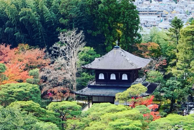 Photo  賀川義規　Yoshinori Kagawa 　大腸がん　手術　消化器外科　皇居　大阪　亀　紅葉　青写真　エクスプレス外来